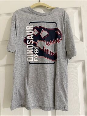 Kids Gray 'Dinosaur Expert' Graphic Tee